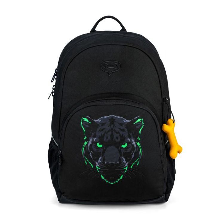 ASPEN 3.0 black panther