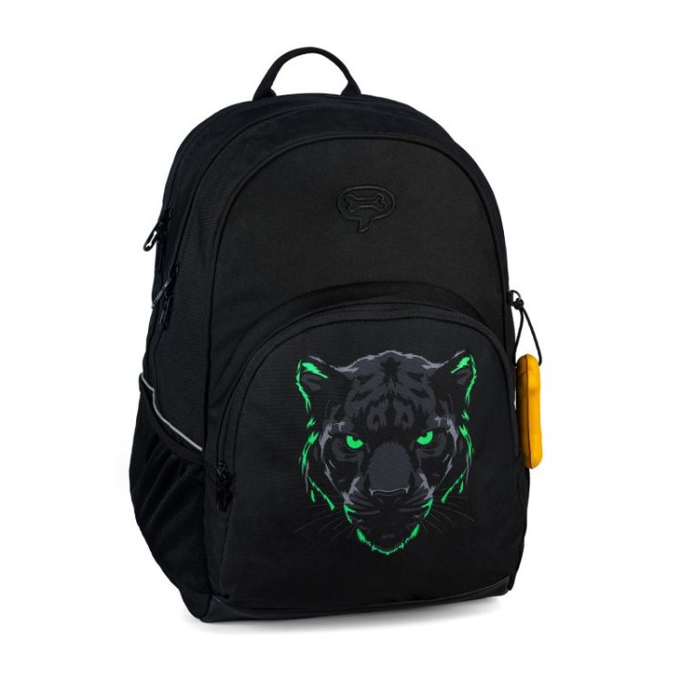 ASPEN 3.0 black panther