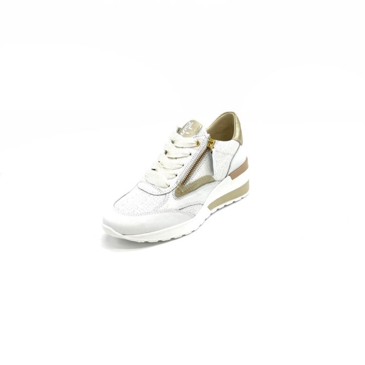 6576 leder