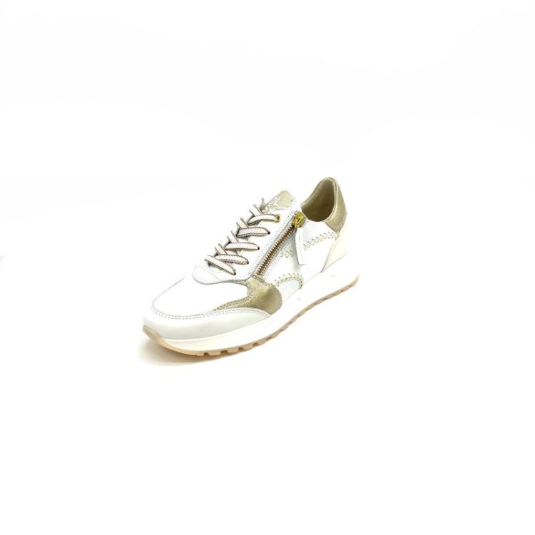 6529 leder