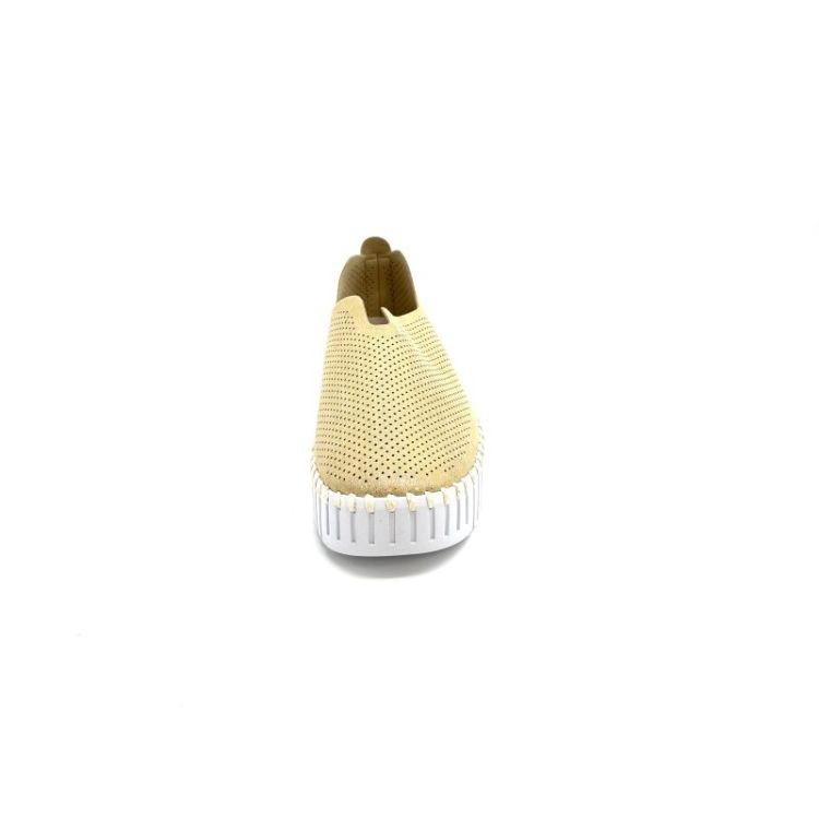 Tulip nubuk metallic