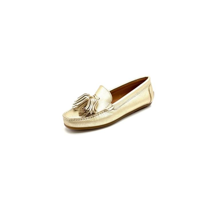 Patsy metallic