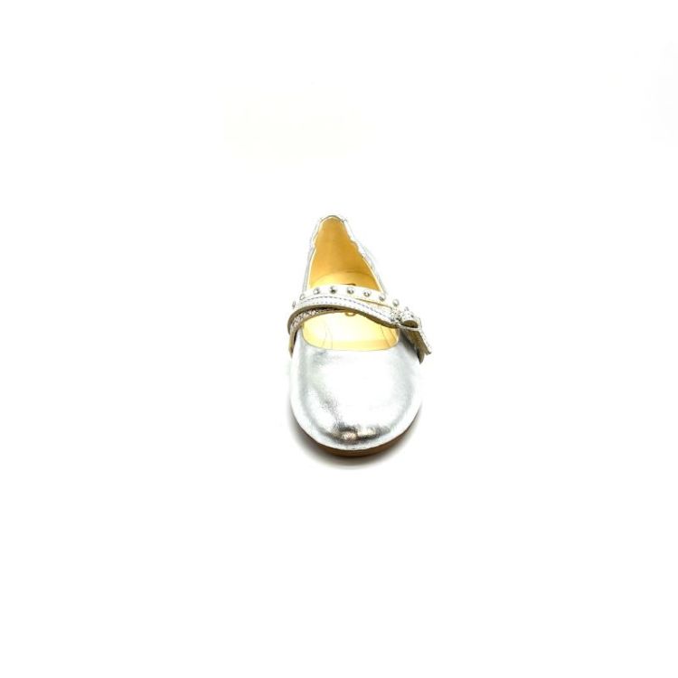 L65109 metallic