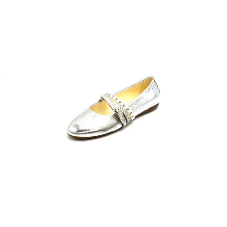 L65109 metallic