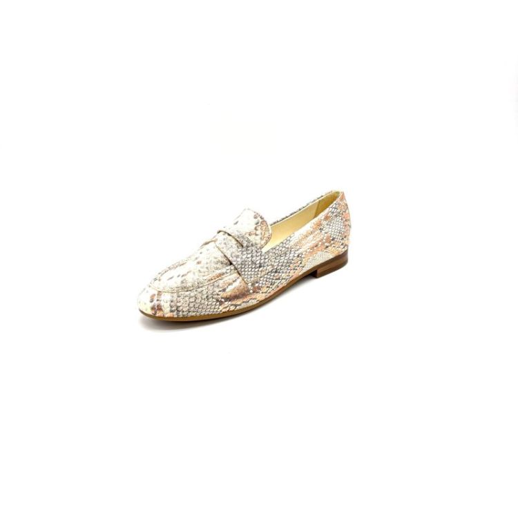 L29101 croco