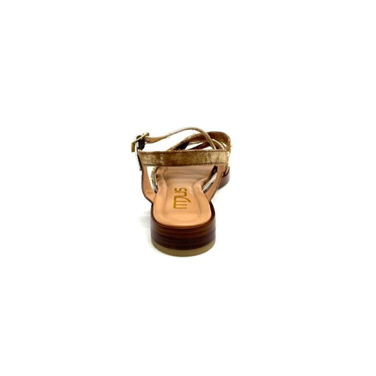 L80007 metallic