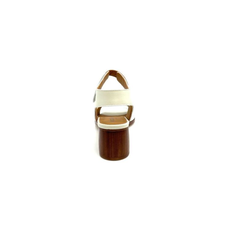 XENIA 1 leder