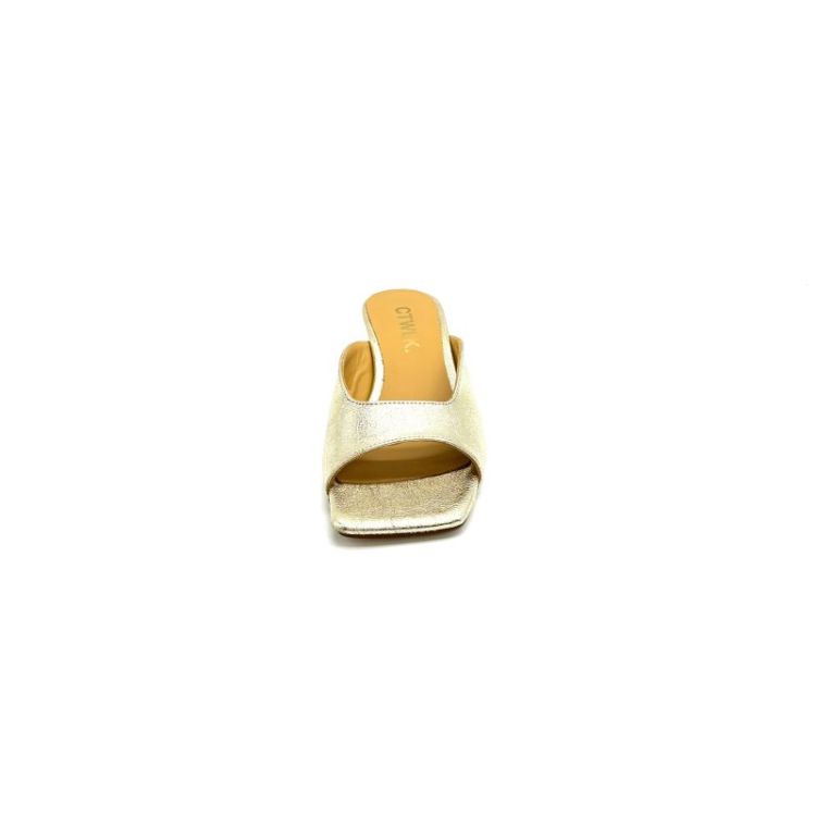 CW4-AMOR metallic