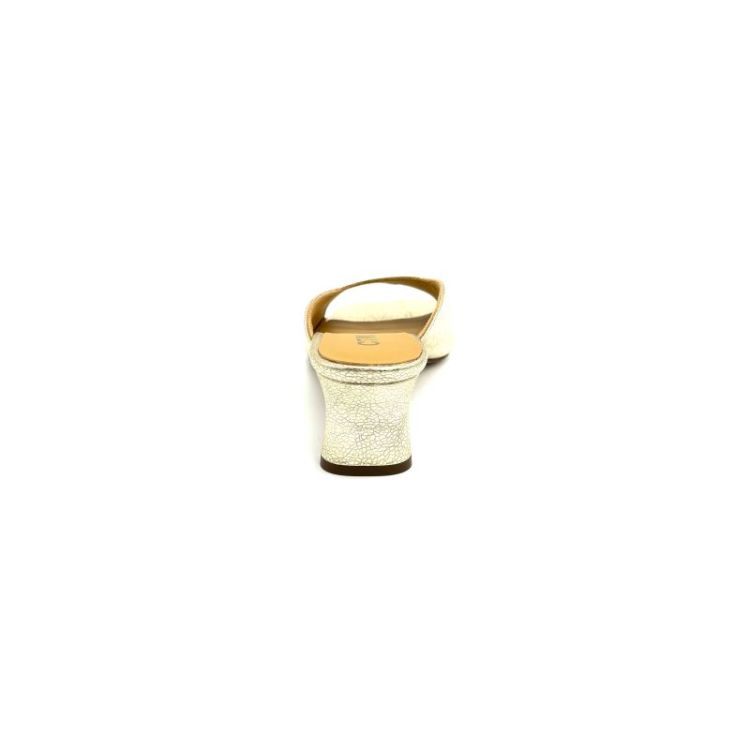 CW4-AMOR metallic