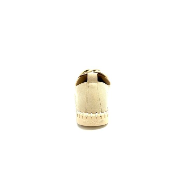 TULIP 3884 nubuk