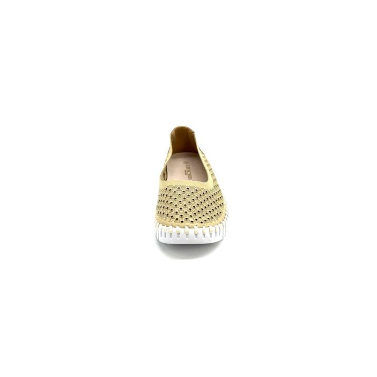 TULIP3578 nubuk metallic