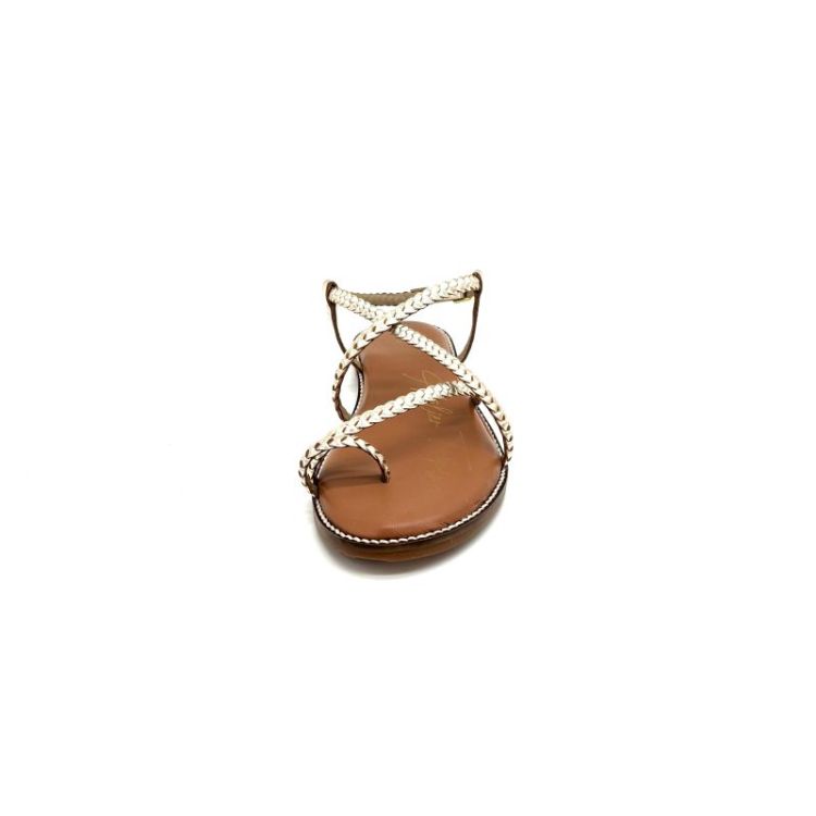SH-2323-25 metallic