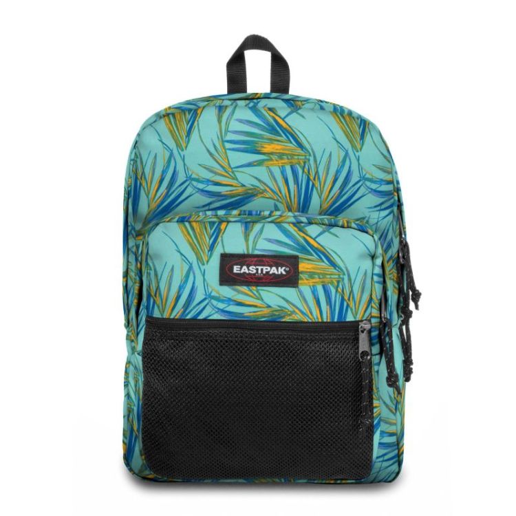Pinnacle brize palm aqua