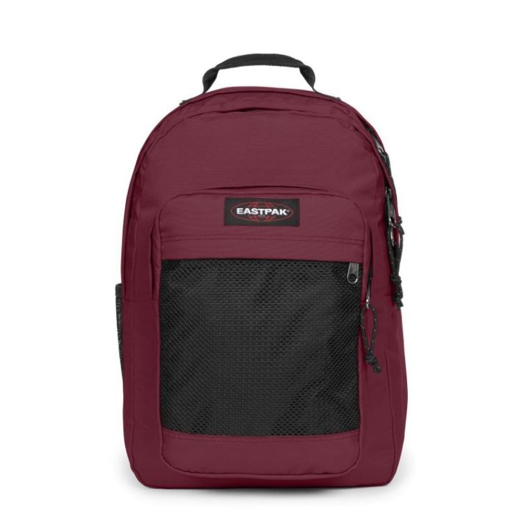 Study Buddy maroon burgundy