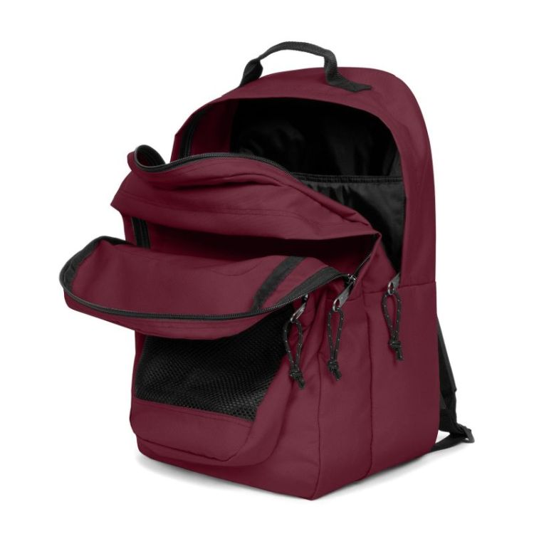 Study Buddy maroon burgundy