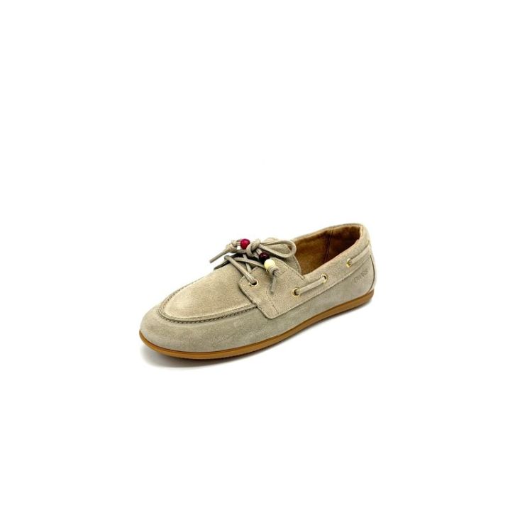 B11927 daim