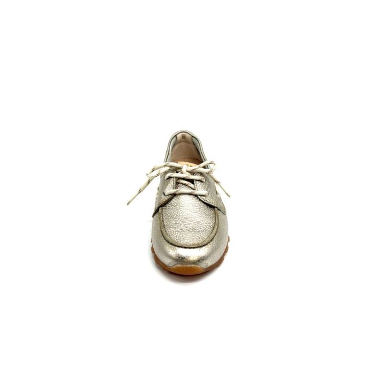 HV264603 metallic