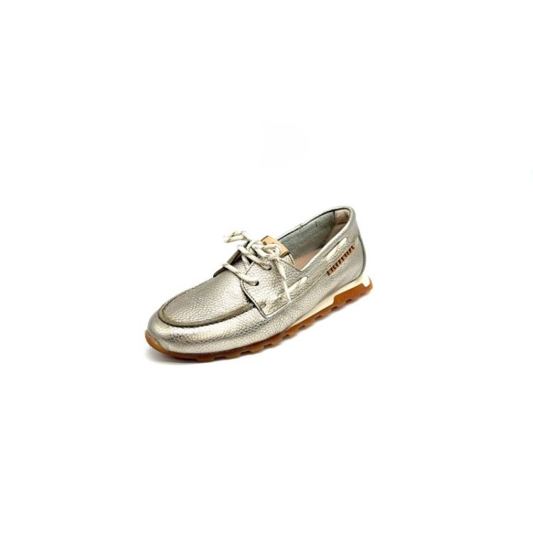 HV264603 metallic