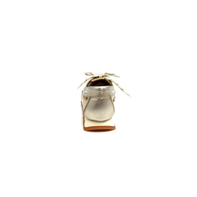 HV264603 metallic
