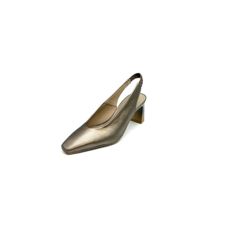 HV264601 metallic