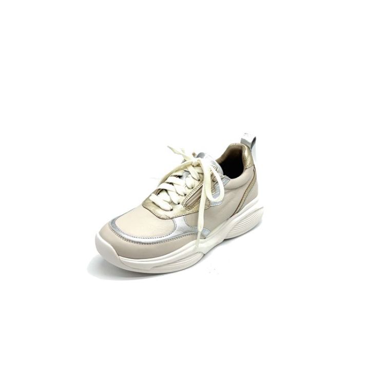 SWX21 leder