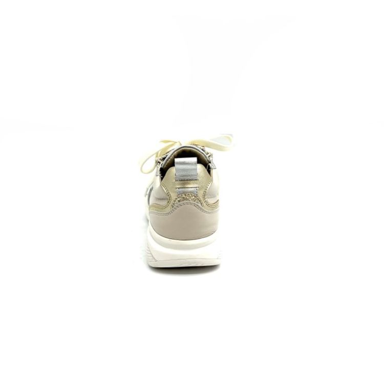 SWX21 leder