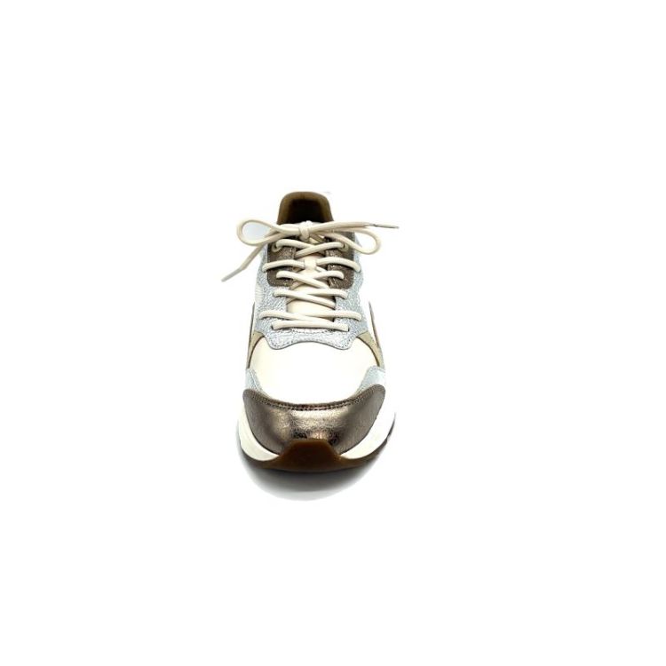 Rainbow leder+metallic