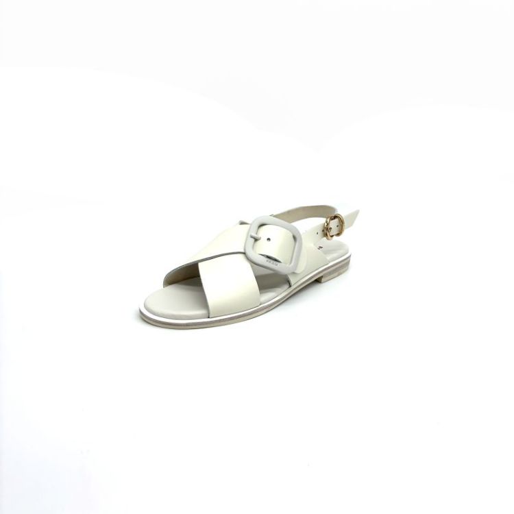 85M6 leder