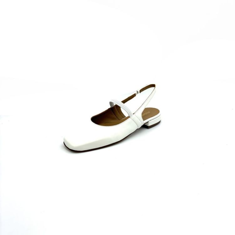 18455 leder
