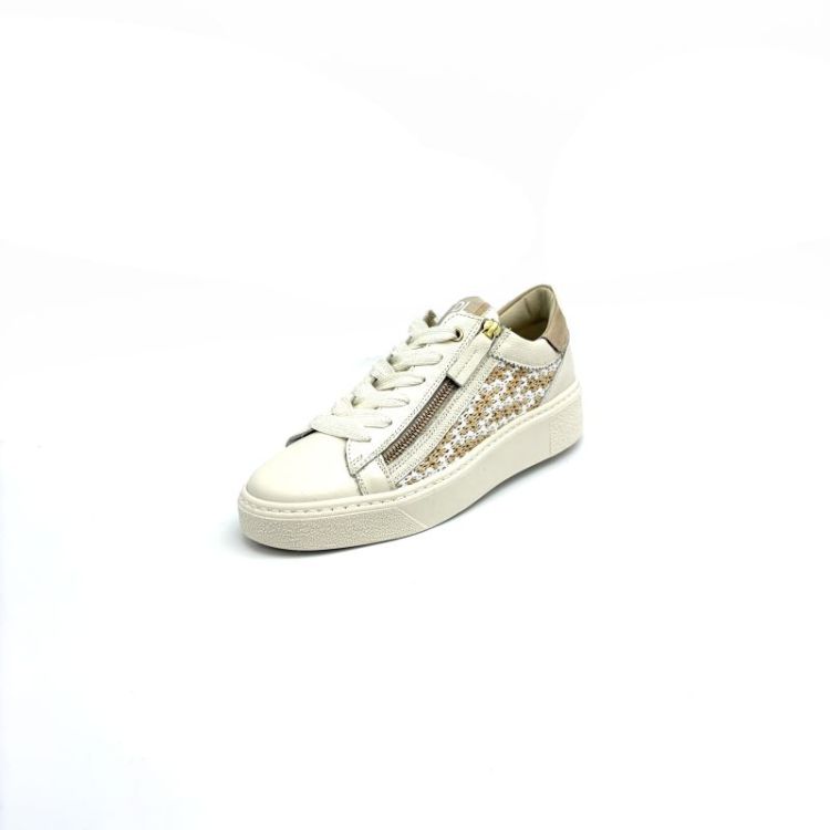 6905 leder