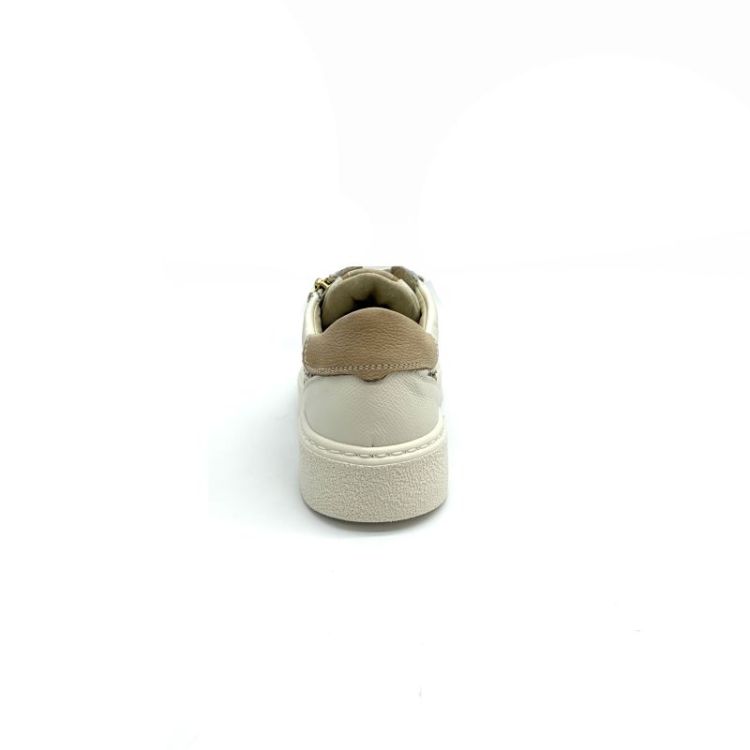 6905 leder