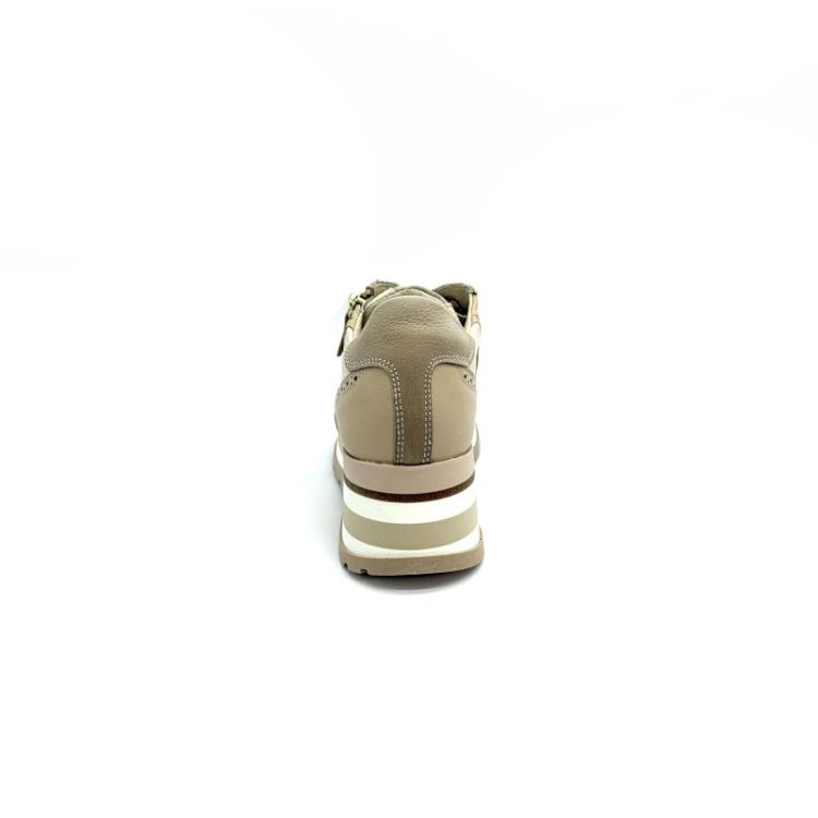 7008 leder