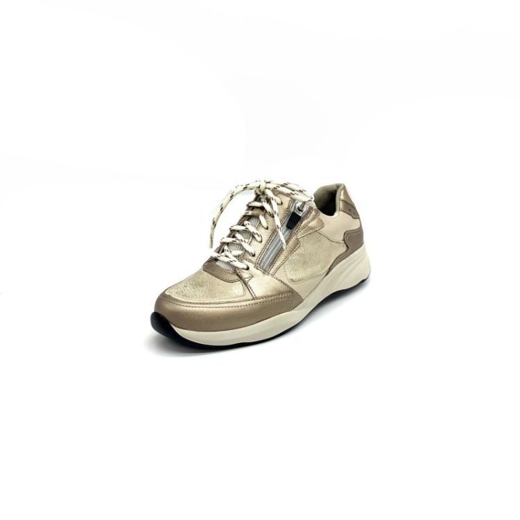 6295 608 1469 metallic