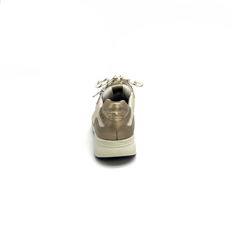 6295 608 1469 metallic