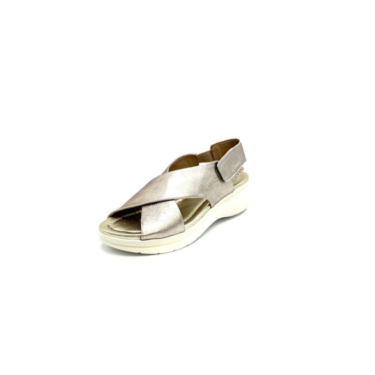 16150 metallic