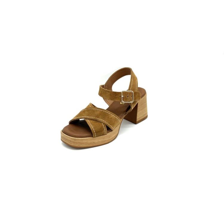 T-145761 daim