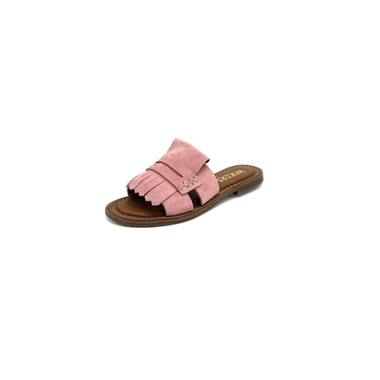 T-77749 daim