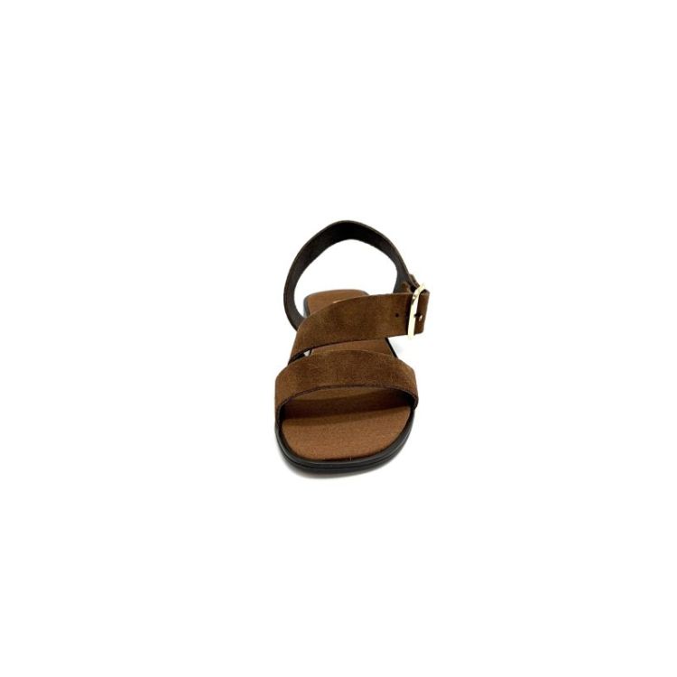 T-162650 daim