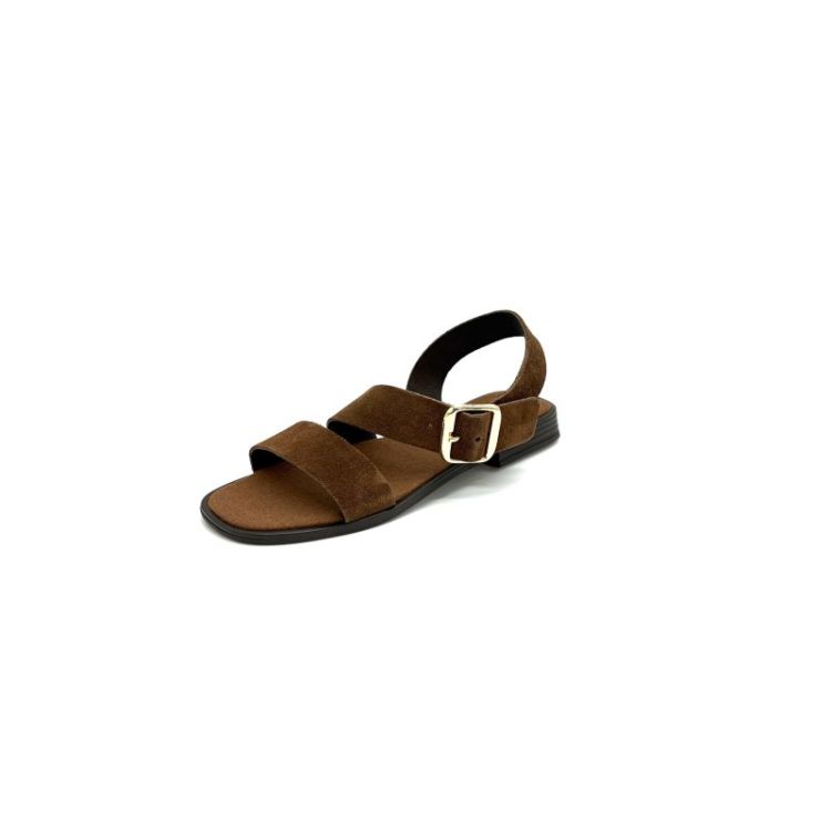 T-162650 daim