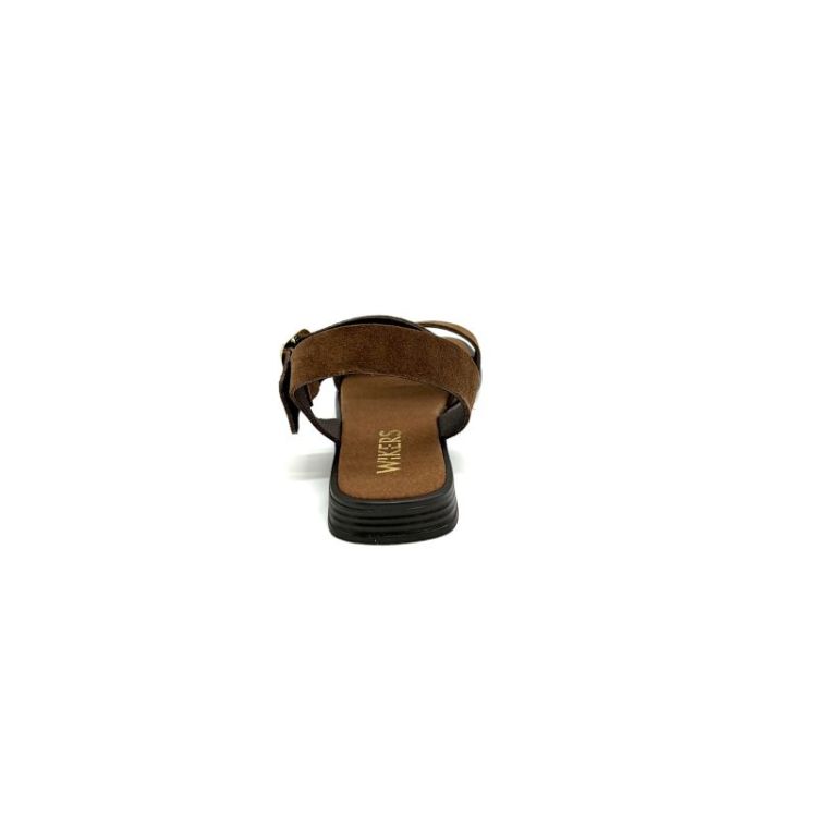 T-162650 daim