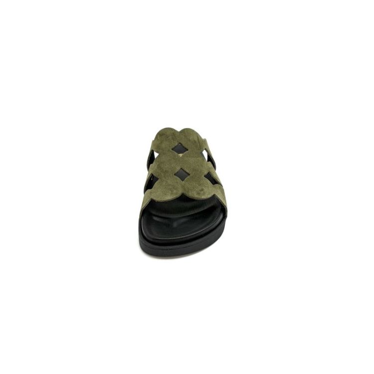 T-64845 daim