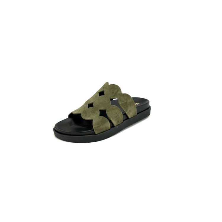 T-64845 daim