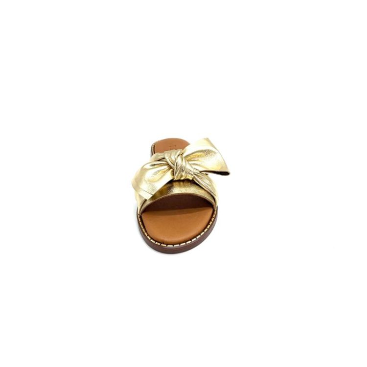 AUDREY1-G metallic