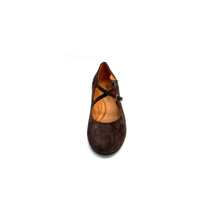 ED2337 daim