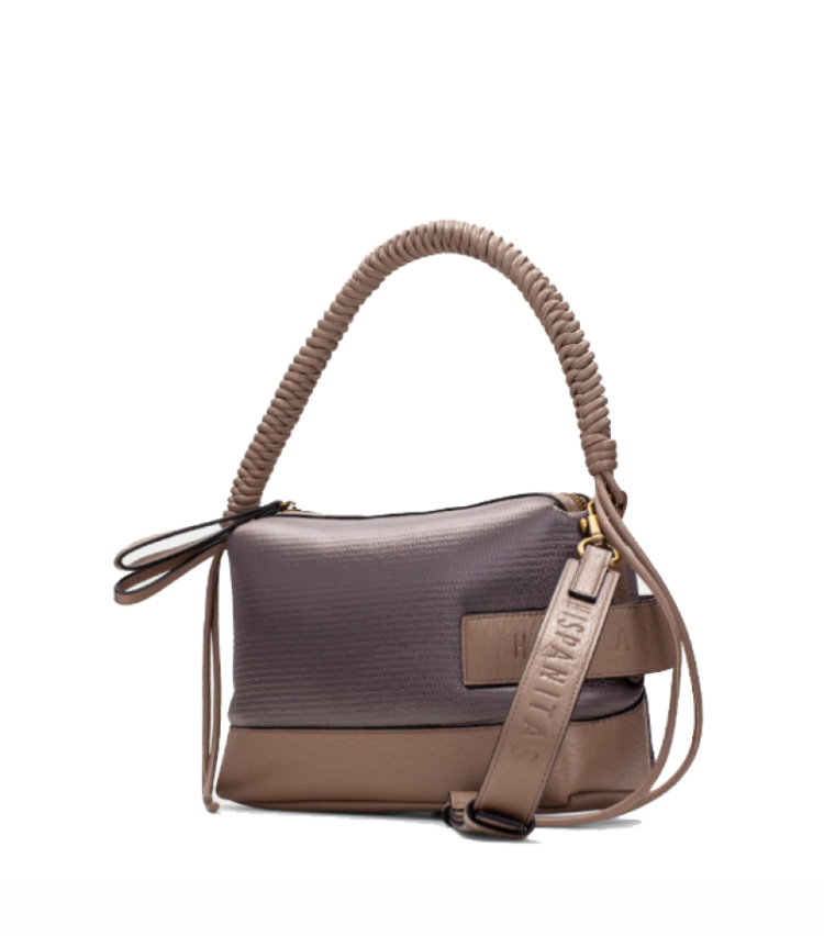 BI264947 castoro