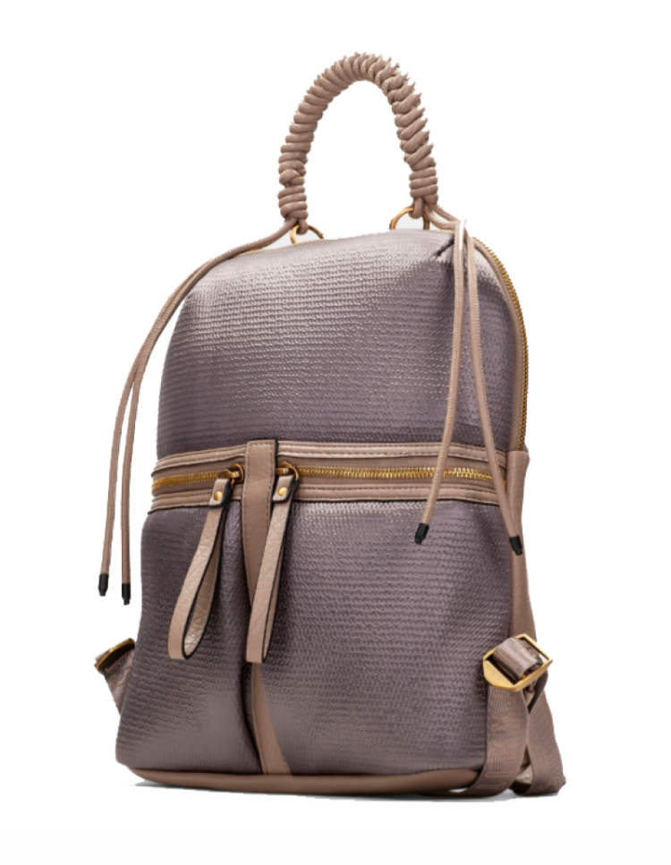 BI264946 castoro