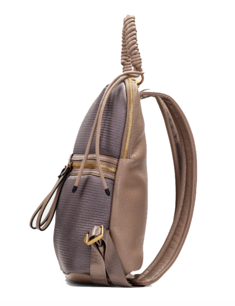 BI264946 castoro